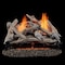 Bluegrass Living Vent Free Dual Fuel Log Set, 24 in Drift Wood, 33,000 BTU, Remote Control B24DR-ES2 - alternate 1