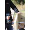Grk Fasteners GRK RSS Rugged 5/16'' x 2-3/4'' Star Drive Washer-Head Structure Screw, 100 Ct. 12219 - alternate 1