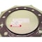 Cnh RING, CNH OEM A48099 A48099 - alternate 2