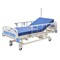 Vevor Premium 3 Function Full Electric Hospital Bed Medical Bed with Mattress YXZ-C3 - alternate 1