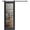 Sartodoors Sturdy Barn Door Clear Tempered Glass, Lucia 2466 Matte Black and Aluminum Strips, 6.6FT Black Rai LUCIA2466BD-B-BLK-30 x 80 - alternate 1