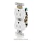 Leviton Duplex Receptacle Outlet, 15A, Blue, 125V T5262-BU - alternate 2
