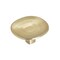 Amerock Concentric 1-9/16 in 40 mm Diameter Golden Champagne Cabinet Knob BP36810BBZ - alternate 1