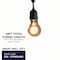 Bulbrite 48-foot String Light Kit with Nostalgic Loop Filament A19 Incandescent Light Bulbs 2200K 810004 - alternate 2