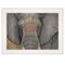 Homeroots Tattooed Elephant 1 White Framed Print Wall Art 404336 - alternate 1