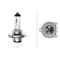 Hella BULB H4 12V 60/55W P43T T4.625 SB, 2PK  H4SB - alternate 3