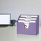 Acrimet Horizontal Triple File Folder Holder Organizer (Solid Purple Color) 860.LO - alternate 3