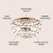Jonathan Y Isabelle 15.5" 2-Light Modern Glam Metal Dome LED Flush Mount w/Crystal Flower Accents, Antique Gold/ JYL9043A - alternate 3