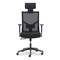 La-Z-Boy Mesh Back Molded Foam Task Chair, Supports Up to 275 lb, Black Seat/Back 60021 - alternate 8
