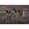 Mepra Epoque Pewter Flatware Set - 67 Pieces - Bronze 106822067PB - alternate 2