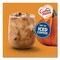 Coffee Mate Liquid Coffee Creamer, Pumpkin Spice, 0.38 oz Mini Cups, 200PK 12270602 - alternate 9