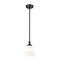Z-Lite Fleur Matte Black 1 Light Pendant 1958P8-MB - alternate 1