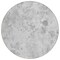 Homeroots 8' Gray Charcoal And Silver Round Floral Washable Indoor Outdoor Area Rug 583138 - alternate 6