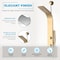 Anzzi Cici Series 39 in. 2-Jetted Shower Tower with Heavy Rain Shower and Body Jets SP-AZ081BG - alternate 4