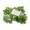 Elegani 66 LED Ivy Leaf Curtain Lights - 3.3ft x 5.2ft, 6 Strands, Warm White, Indoor Hanging Vine Dcor PH-IVY-GRN - alternate 1