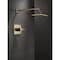 Delta Vero Monitor 14 Series Shower Trim T14253-CZ-WE - alternate 4