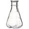 Nalgene Flasks, Colorless, PK12 4110-0250 - alternate 2