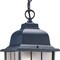 Homeroots Matte Black Window Pane Lantern Hanging Light 398010 - alternate 2
