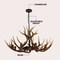 Jonathan Y Eldora 36" 8-Light Rustic Farmhouse Adjustable Resin Antler LED Chandelier, Brown JYL6319A - alternate 5