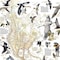 National Geographic Bird Migration, Western Hemisphere Map, Laminated, 20.25'' x 31.25'' RE01020306 - alternate 2