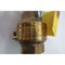 Apollo SAFETY RELIEF VALVE 55PSI 1IN NPT THREADED BRASS 19-KEEL055 - alternate 6