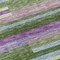 Homeroots 8' X 10' Moss Green Olive Green And Purple Striped Washable Indoor Outdoor Area Rug 613269 - alternate 7