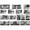 Roylco Dental X-Rays R59269 - alternate 1