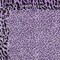Homeroots 10' X 14' Purple Animal Print Washable Indoor Outdoor Area Rug 607667 - alternate 5