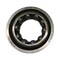 Agco BALL BEARING, AGCO OEM 3758750M1 3758750M1 - alternate 3