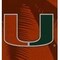 Coverking UNIVERSAL ULTISUEDE SEAT COVER DESIGNER 1PC, UNIVERSITY OF MIAMI PALM TREES, ELA123 USCSELA123 - alternate 2
