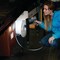 Performance Tool 180LM Spotlight, Li-ion Rechargeable, Cree LED, Car Charger W2435 - alternate 4