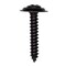 Auveco #8 x 1in Phillips Oval #6 Head Ab Tapping Sems - Black, 100PK 11789 - alternate 1