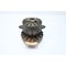 Nexen PILOT MOUNT PNEUMATIC CLUTCH-BRAKE UNIT 120PSI 828900 - alternate 1
