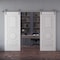 Sartodoors Double Barn Door 64x80 inches White Solid Core Modern Interior ROYAL9855DB-S-EMAL-64 - alternate 1