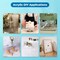 Fab Glass And Mirror Pack of 2 Plexiglass Sheets 1/8in thick, Clear 6in x12in  Rectangle Acrylic Sheets with Pro... ACR3M6X12RC - alternate 3