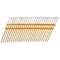 Bostitch Bostitch 3-1/2 in. L X 10 Ga. Plastic Strip Hot-Dip Galvanized Framing Nails 21 deg 4in000 pk RH-S16D131HDG - alternate 1