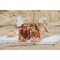Picnic Time Family Of Brands Oceanside Beach Blanket, High Tide Stripe 642-22-372-000-0 - alternate 3