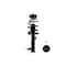 Fcs Struts Suspension Strut And Coil Spring Assembly 1333858L - alternate 1