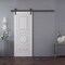 Sartodoors Barn Door 42x80 inches White Solid Core Modern Interior ROYAL9855BD-B-EMAL-42 - alternate 1