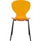 Leisuremod Modern Oyster Transparent Side Dining Side Chair with Black Base in Transparent Orange OCB-17TOR - alternate 7