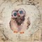 Homeroots Set Of Two Wonder Years Owls 1 White Framed Print Wall Art, 2PK 407067 - alternate 2