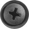Auveco Phillips Oval Head Sems Flush Washer Tapping Screw #10 x 5/8in - Black, 100PK 23838 - alternate 2