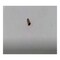 Cnh INSERT, CNH OEM 85816600 85816600 - alternate 3