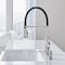 Blanco Empressa Semi-Pro 1.5 gpm, Chrome 442508 - alternate 4