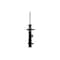 Fcs Struts Suspension Strut 334142R - alternate 1