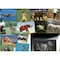 Roylco What's Inside Animals Card Set 59250 - alternate 1