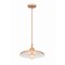Z-Lite Camden Rubbed Brass 1 Light Pendant 2308P14-RB - alternate 3