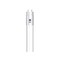 Ge Linear Light LED Cool White 18" G13 T8/T12 15 Watt Equivalence Clear 37178 - alternate 4
