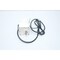Oriental Motor GEARMOTOR 10MM 3PH 230V-AC 25W 27RPM FPW425S2-60 - alternate 3