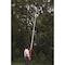 Ars Super Turbocut Telescoping Pole Saw SC-EXP55 - alternate 1